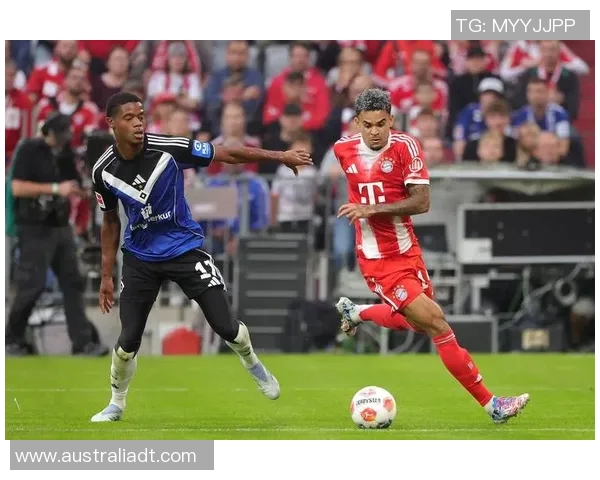 波鸿客场神奇逆转!绝杀汉堡队,豪取胜利! 波鸿客场神奇逆转!绝杀汉堡队,豪取胜利!